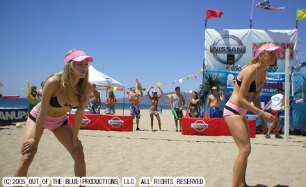 ビーチエンジェルズ 海と自然を愛するブログ